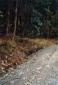 Public places, Ann Shelton